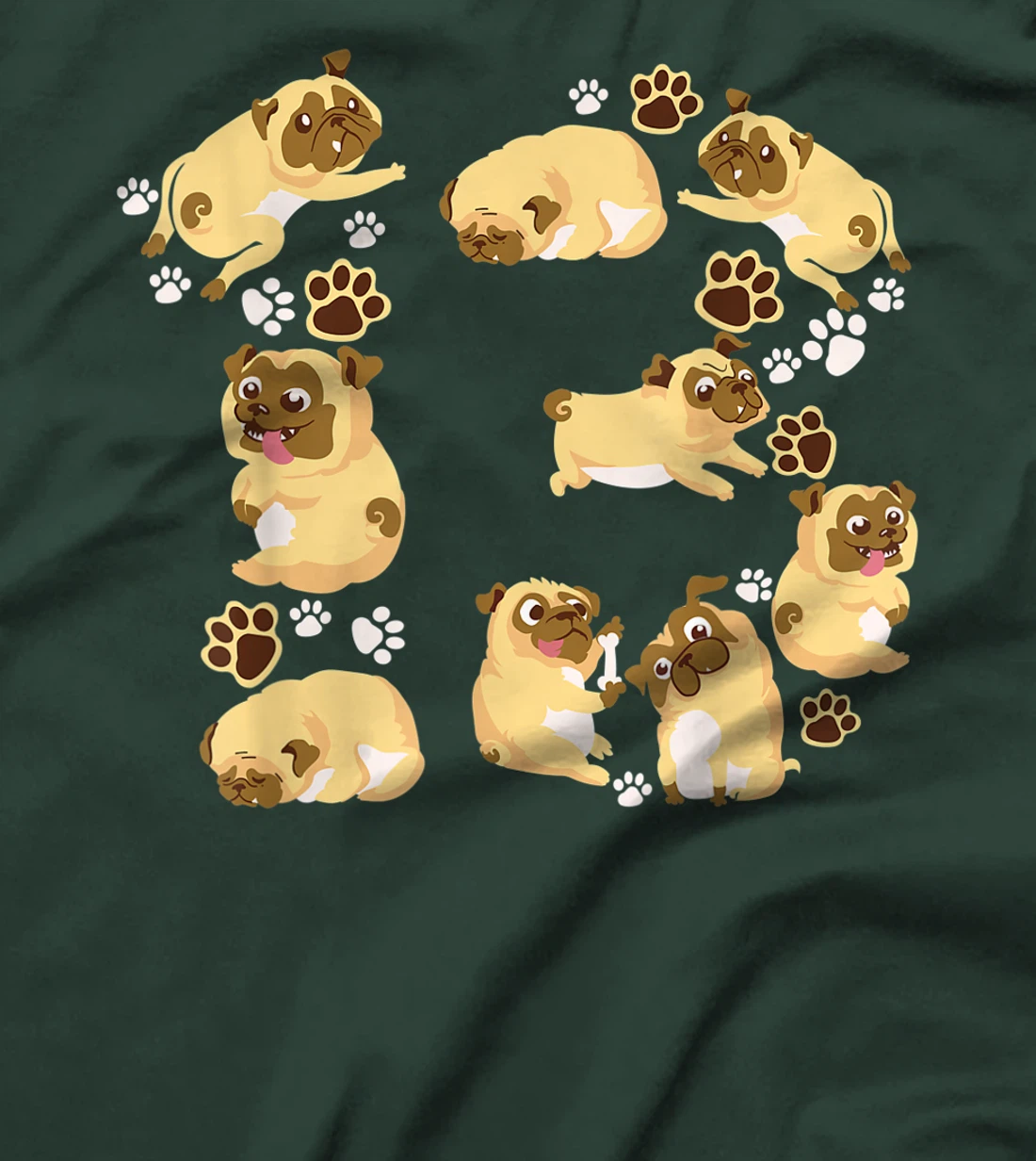 Cute Dog 13th Birthday Gift | Cool 13 Years Old Pug Boy Girl T-Shirt