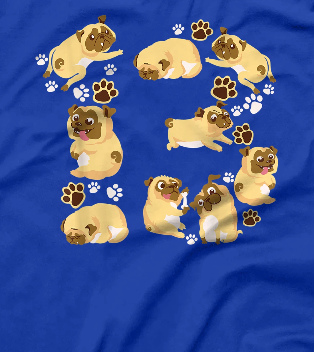 Cute Dog 13th Birthday Gift | Cool 13 Years Old Pug Boy Girl T-Shirt