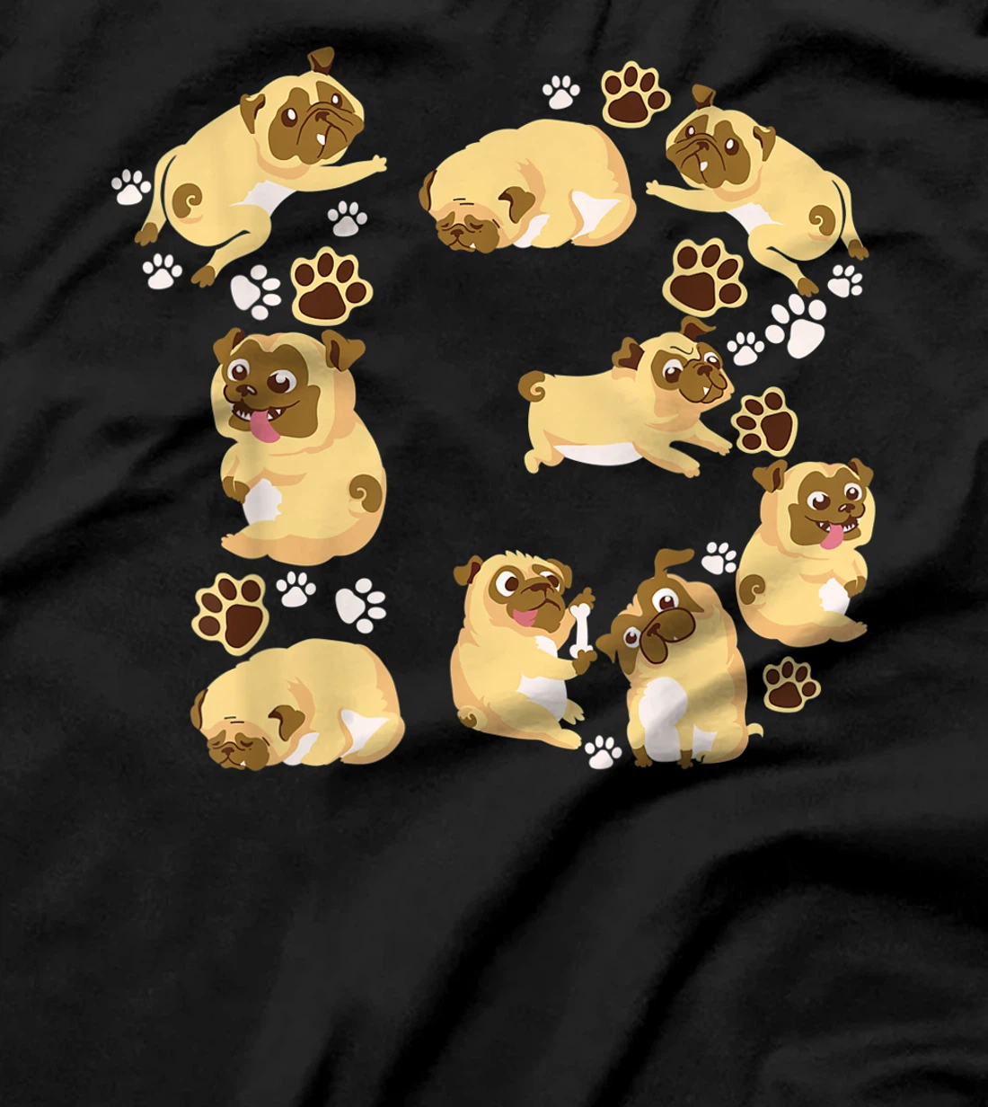 Cute Dog 13th Birthday Gift | Cool 13 Years Old Pug Boy Girl T-Shirt