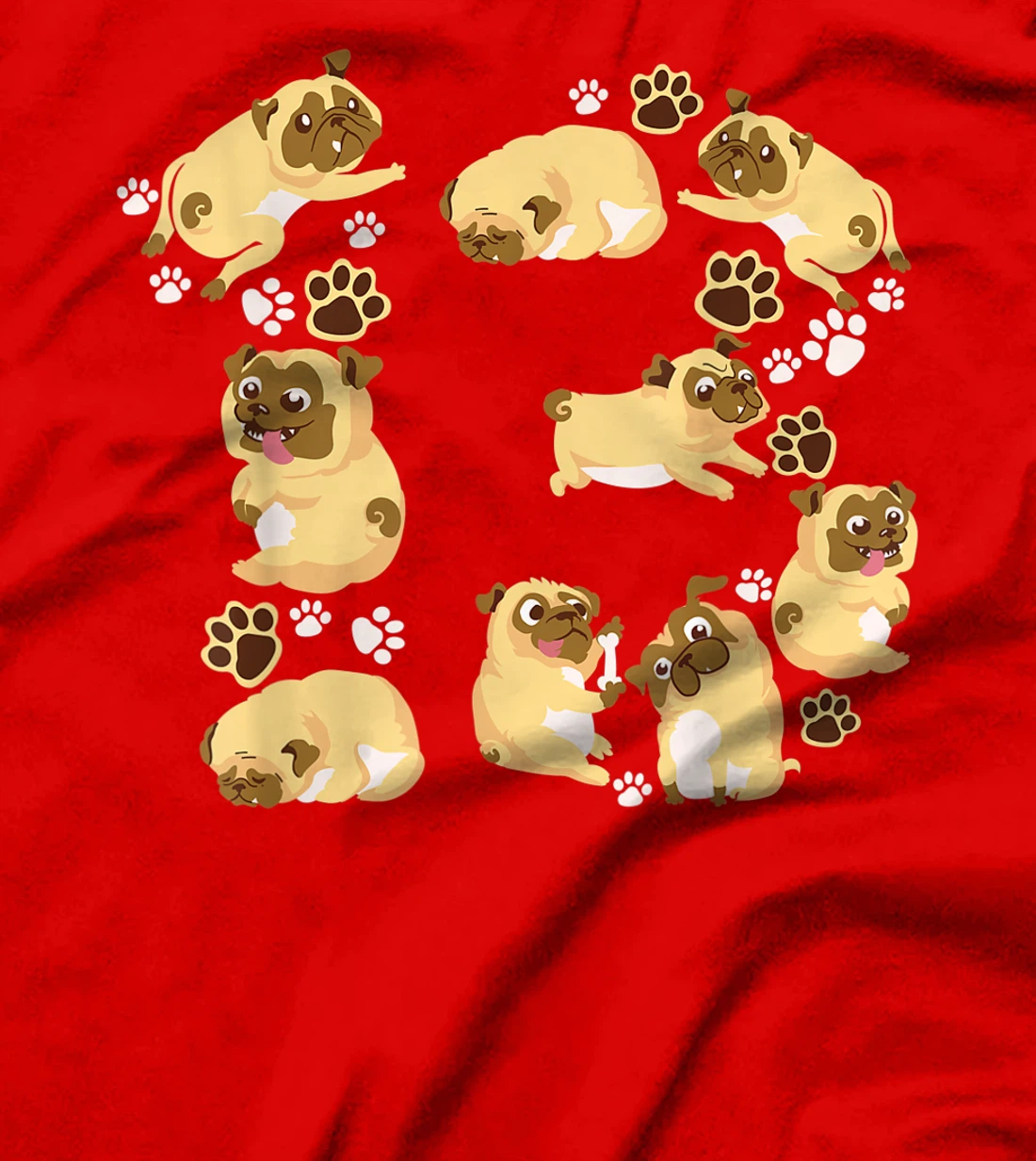 Cute Dog 13th Birthday Gift | Cool 13 Years Old Pug Boy Girl T-Shirt