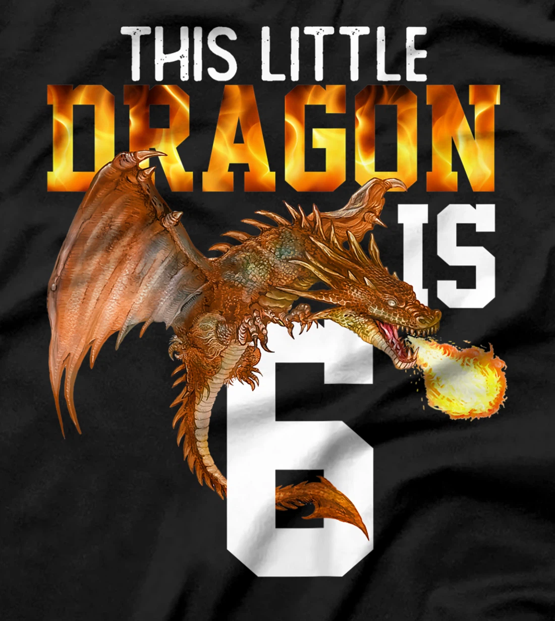 Kids Turning 6 Year Old Birthday Gift Boy Dragon 6th Bday Girl T-Shirt