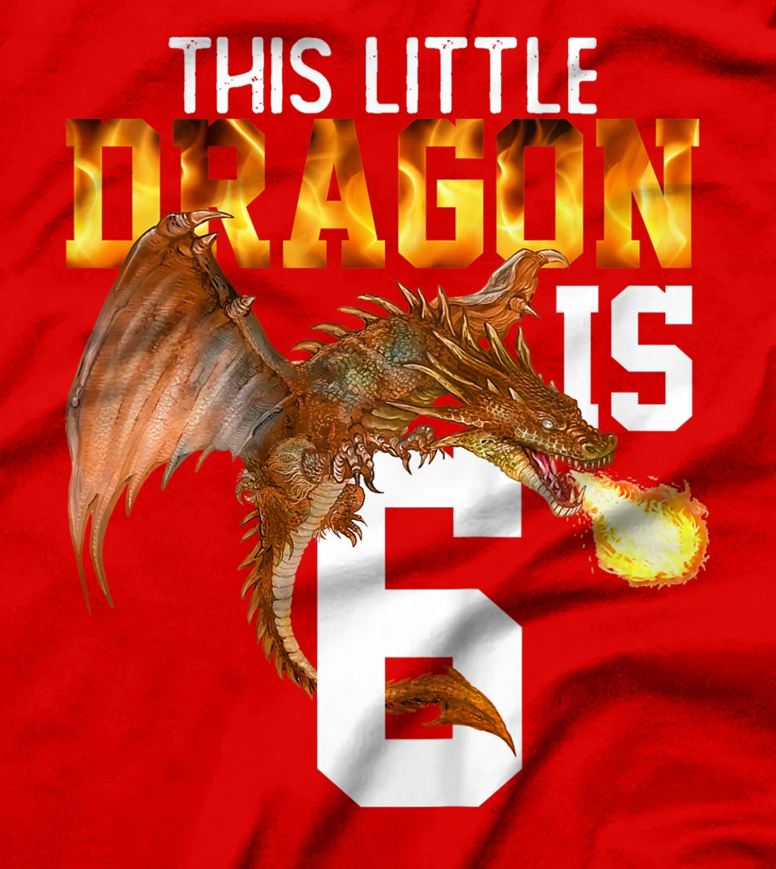 Kids Turning 6 Year Old Birthday Gift Boy Dragon 6th Bday Girl T-Shirt