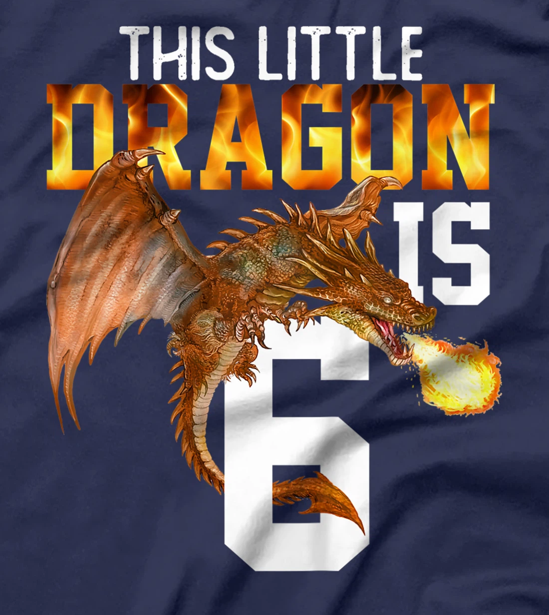 Kids Turning 6 Year Old Birthday Gift Boy Dragon 6th Bday Girl T-Shirt