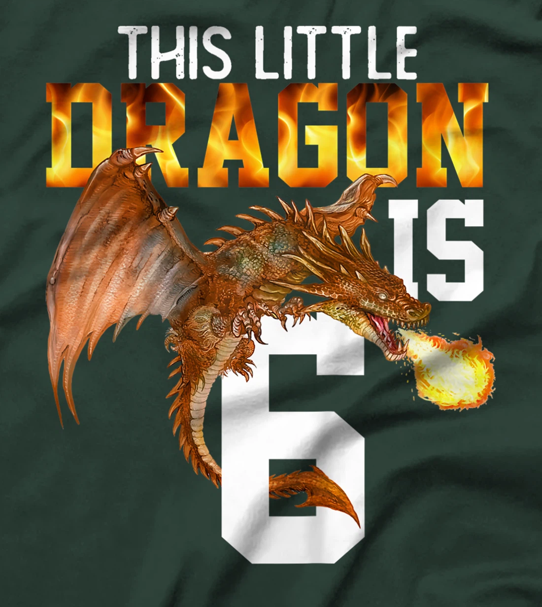 Kids Turning 6 Year Old Birthday Gift Boy Dragon 6th Bday Girl T-Shirt