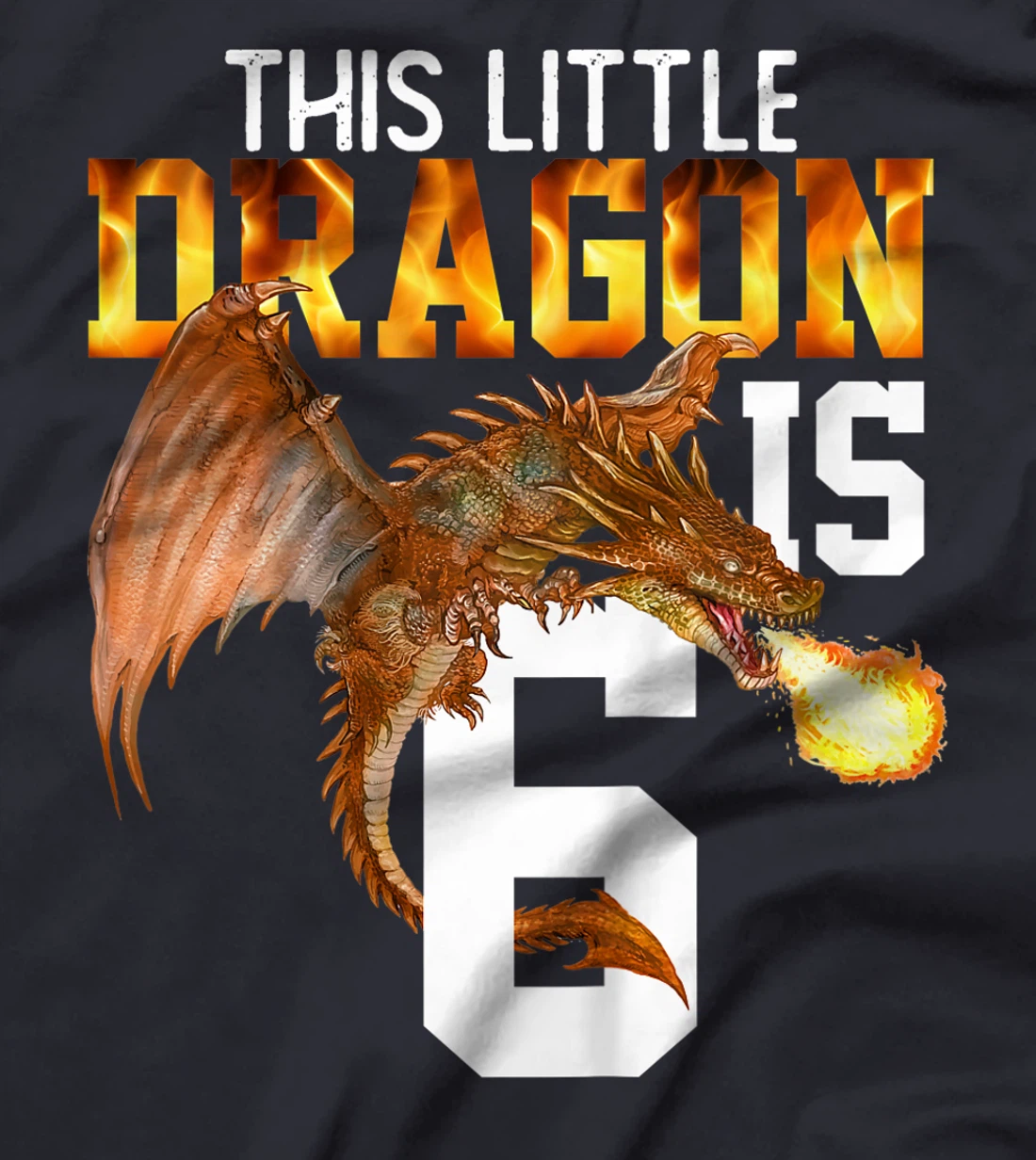 Kids Turning 6 Year Old Birthday Gift Boy Dragon 6th Bday Girl T-Shirt