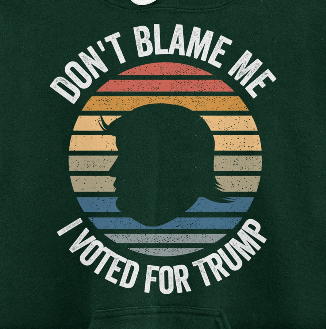 Don't Blame Me I Voted For Trump Distressed Vintage Pullover Hoodie