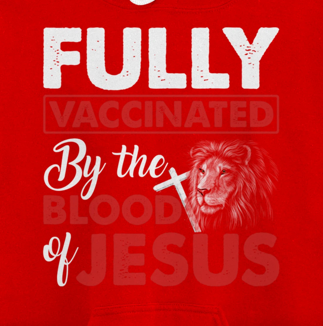 Fully Vaccinated By The Blood Of Jesus Lion God Christian Pullover Hoodie