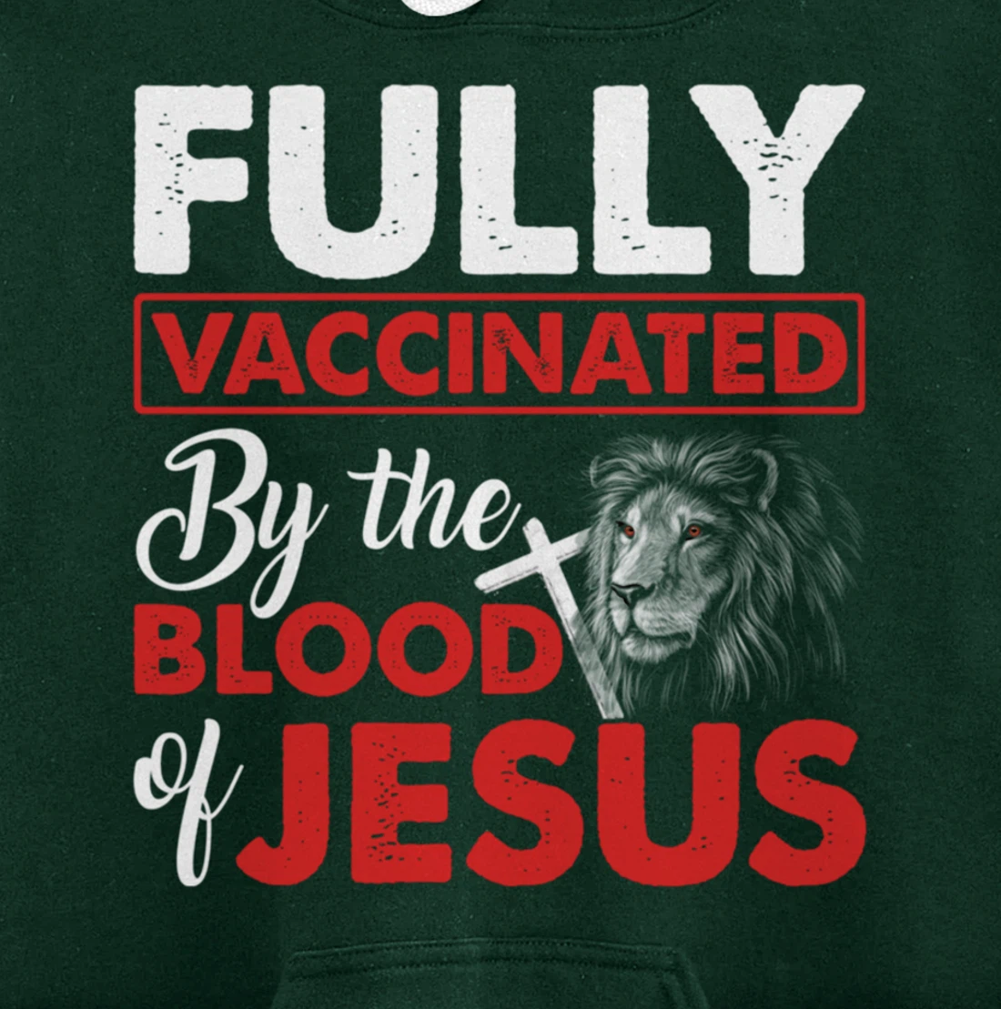 Fully Vaccinated By The Blood Of Jesus Lion God Christian Pullover Hoodie