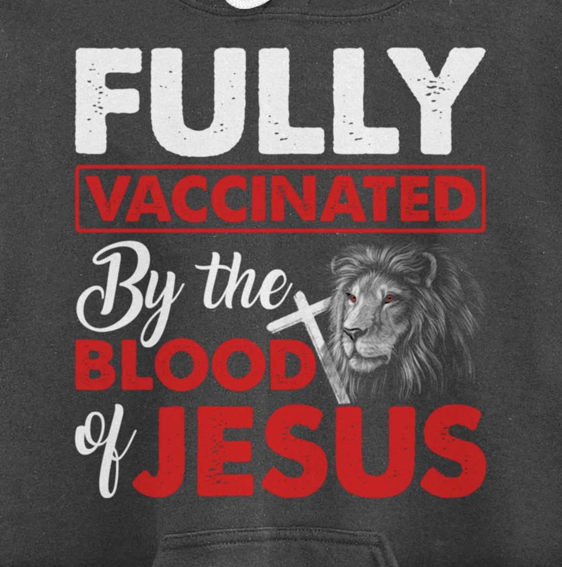 Fully Vaccinated By The Blood Of Jesus Lion God Christian Pullover Hoodie