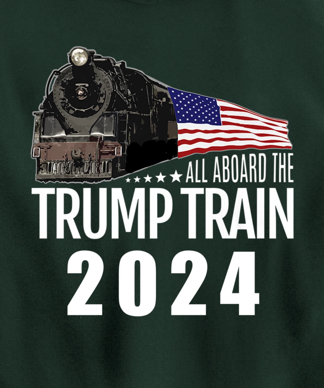 All Aboard the Trump Train 2024 American Flag Pullover Hoodie