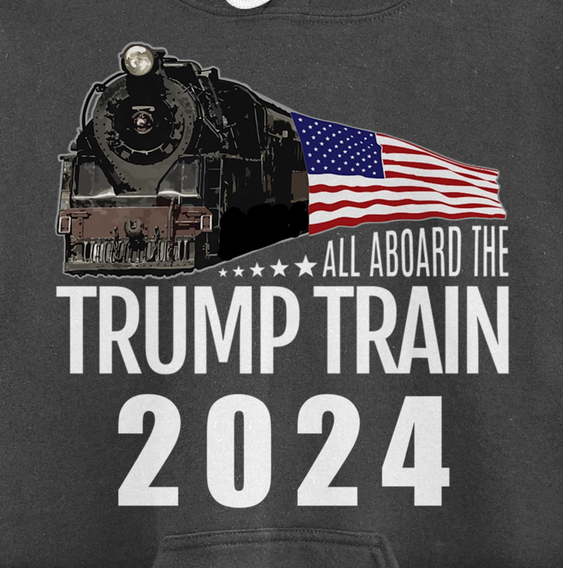 All Aboard the Trump Train 2024 American Flag Pullover Hoodie