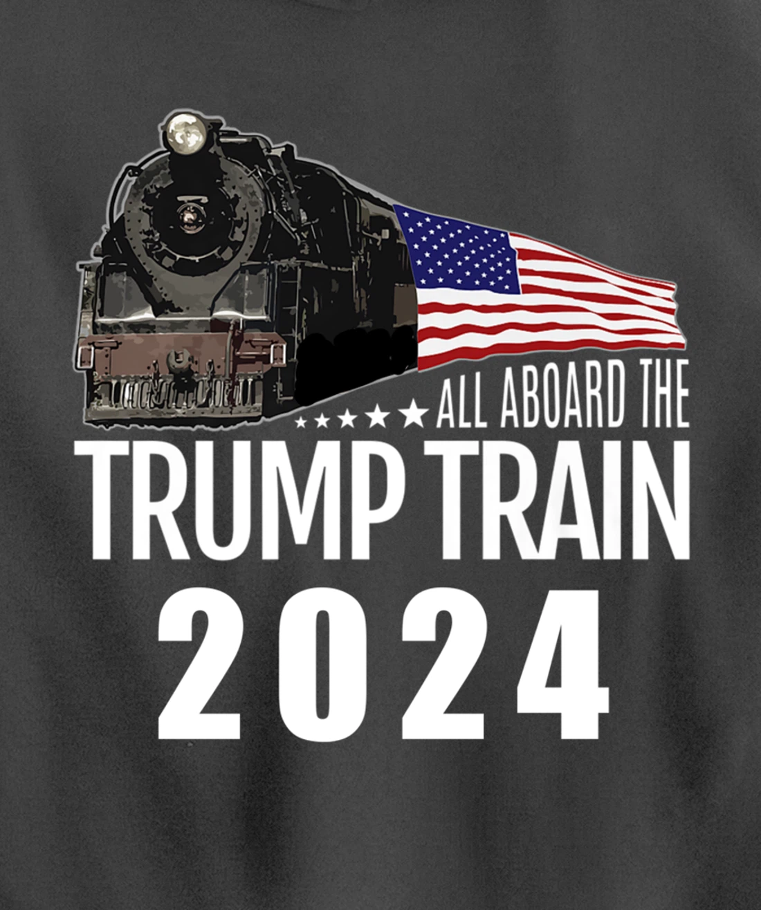 All Aboard the Trump Train 2024 American Flag Pullover Hoodie