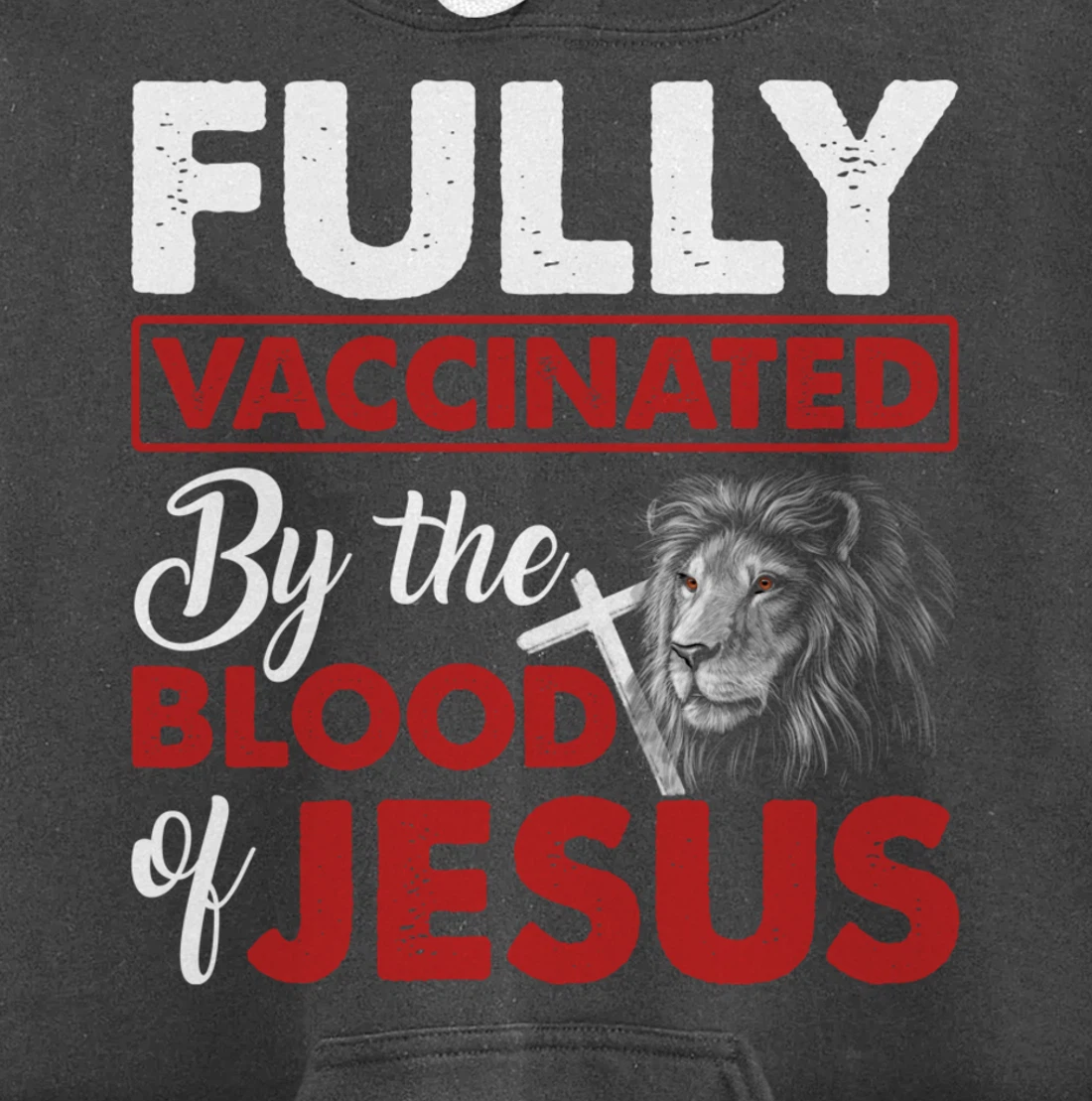 Fully Vaccinated By The Blood Of Jesus Lion God Christian Pullover Hoodie