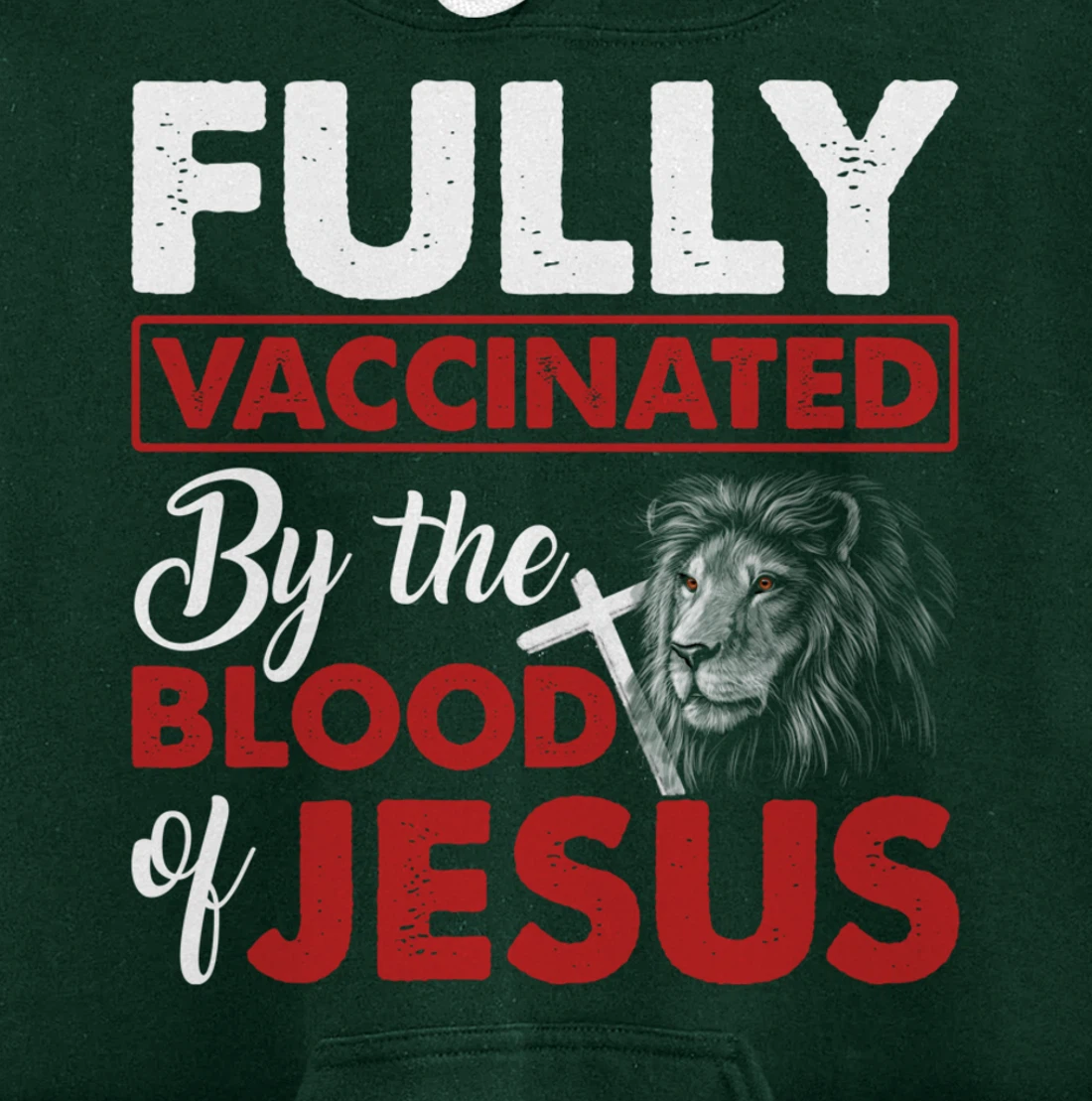 Fully Vaccinated By The Blood Of Jesus Lion God Christian Pullover Hoodie