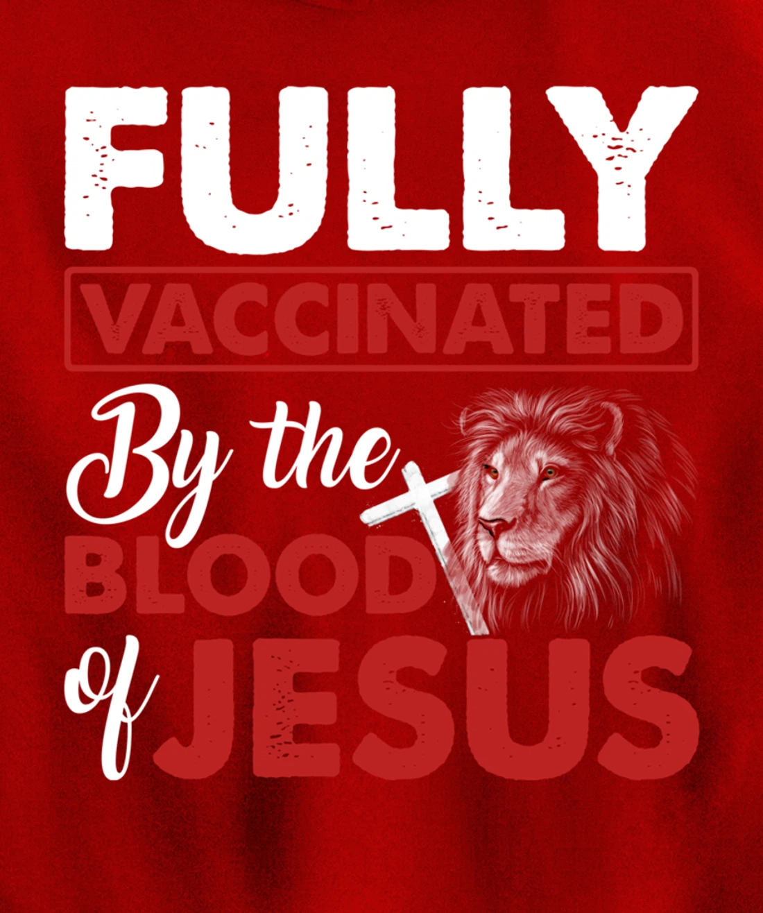 Fully Vaccinated By The Blood Of Jesus Lion God Christian Pullover Hoodie