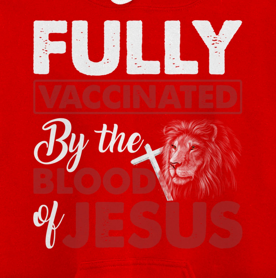 Fully Vaccinated By The Blood Of Jesus Lion God Christian Pullover Hoodie
