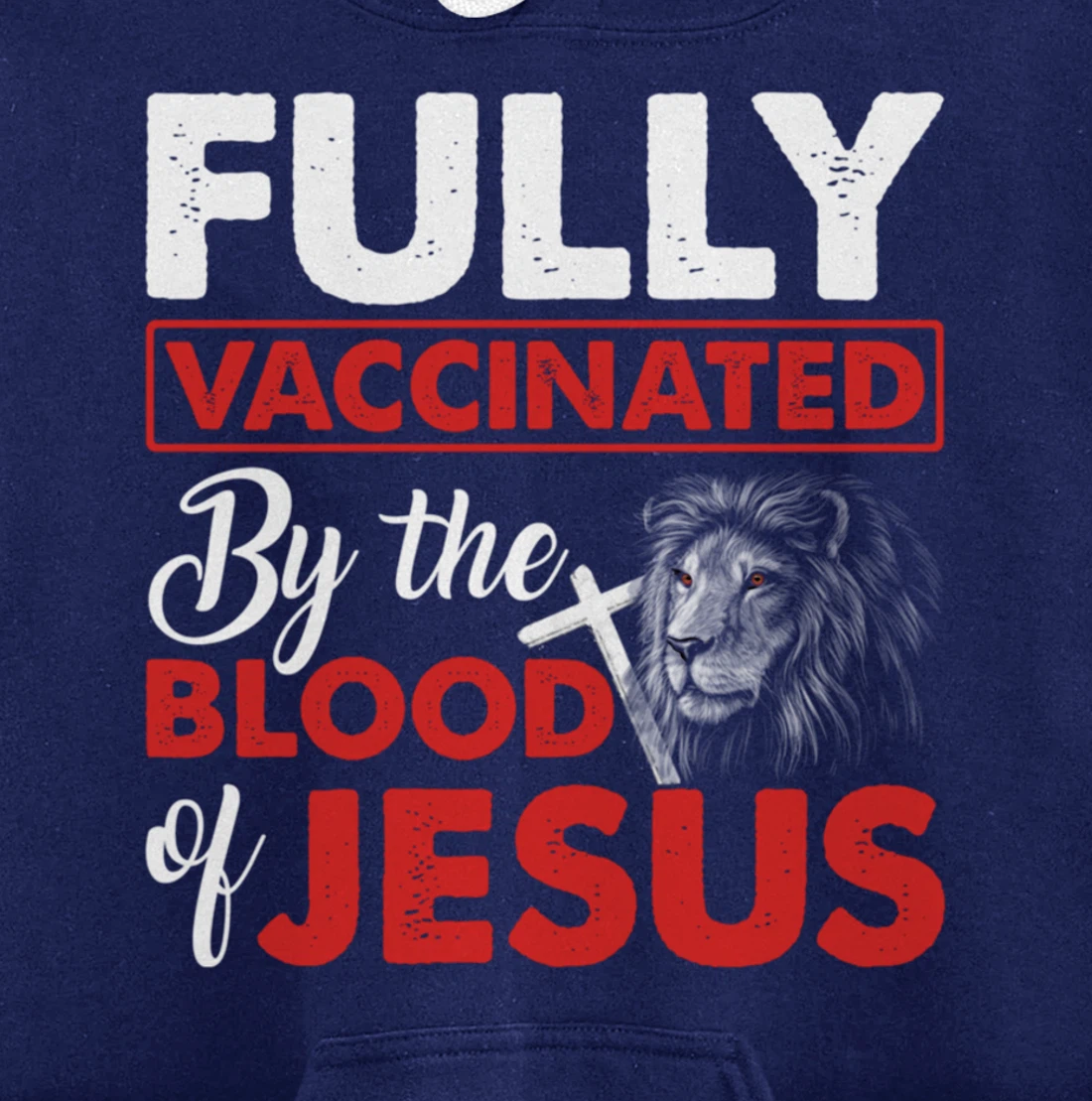 Fully Vaccinated By The Blood Of Jesus Lion God Christian Pullover Hoodie