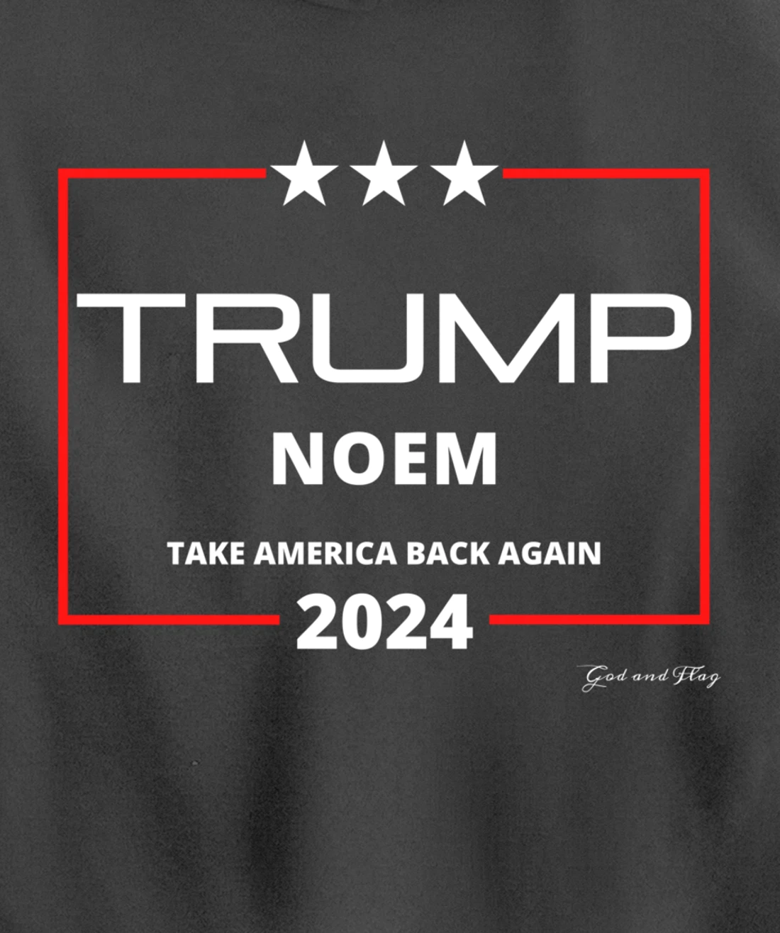 DONALD TRUMP KRISTI NOEM 2024 TAKE AMERICA BACK AGAIN USA Pullover Hoodie