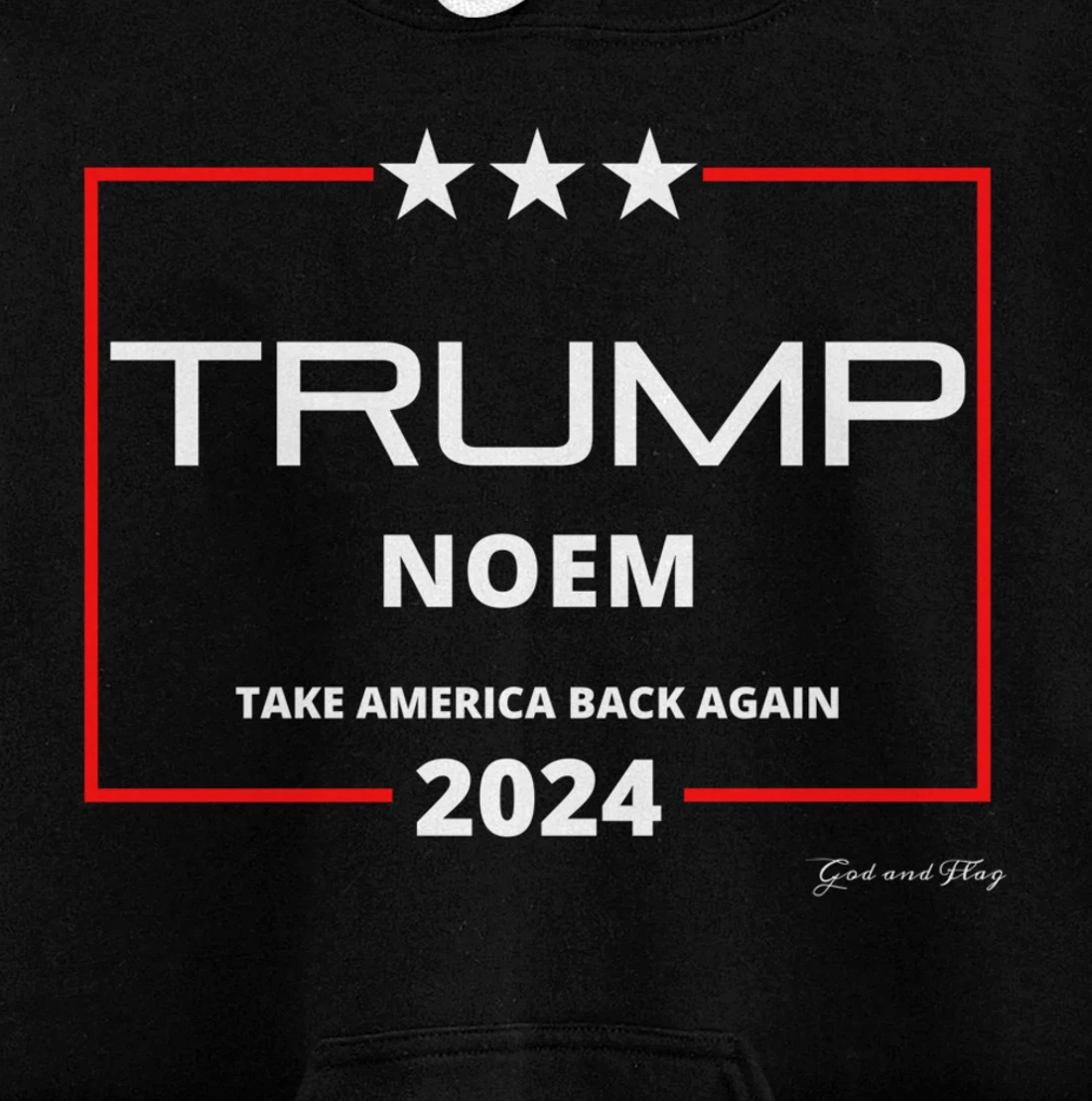 DONALD TRUMP KRISTI NOEM 2024 TAKE AMERICA BACK AGAIN USA Pullover Hoodie