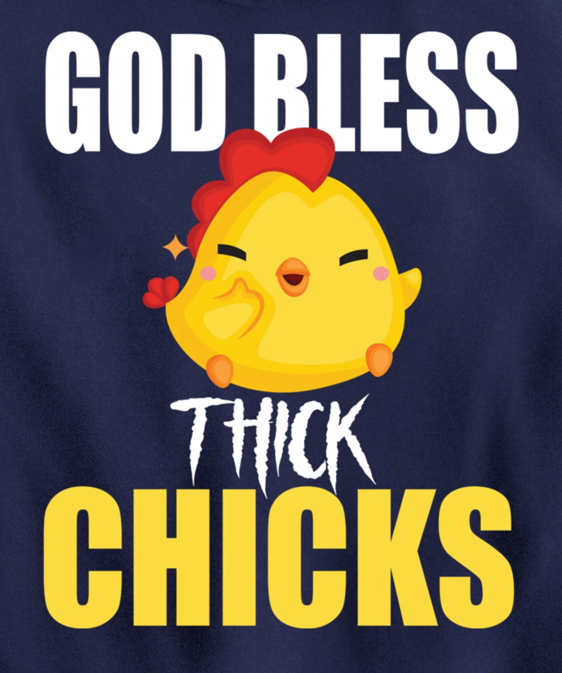 God Bless Thick Chicks Funny Shirt For Men ,Women Humor Meme Pullover Hoodie