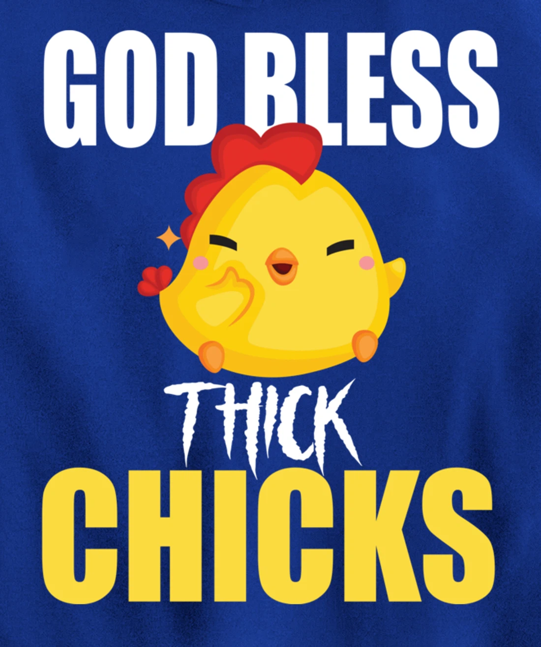 God Bless Thick Chicks Funny Shirt For Men ,Women Humor Meme Pullover Hoodie