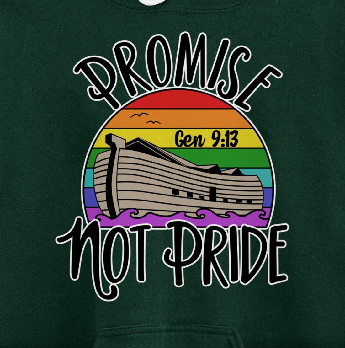 Noah's Ark Genesis 9:13 Rainbow God's Promise Not Pride Pullover Hoodie