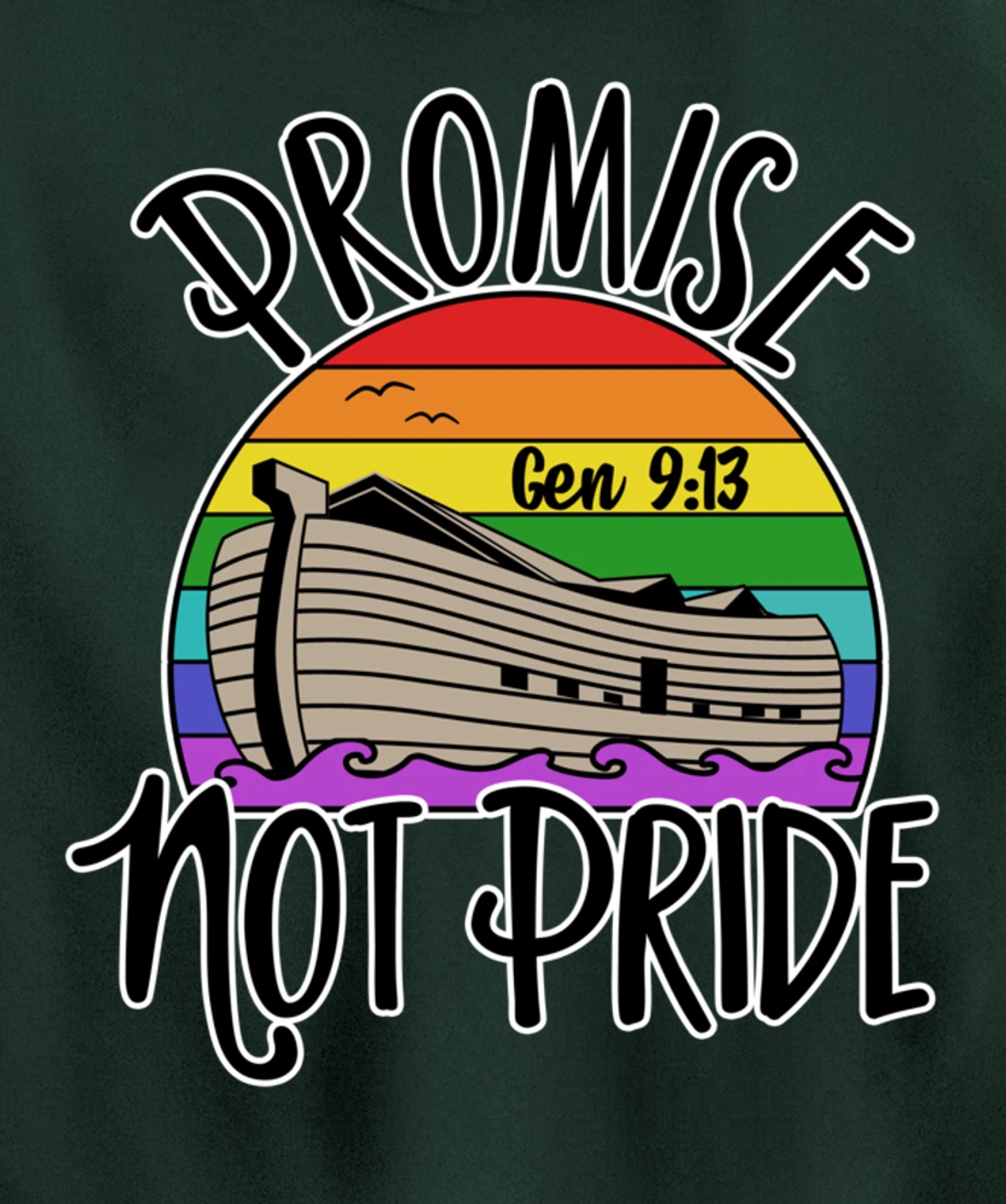 Noah's Ark Genesis 9:13 Rainbow God's Promise Not Pride Pullover Hoodie