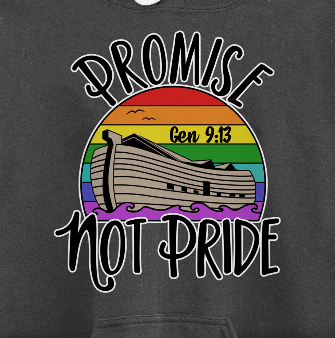 Noah's Ark Genesis 9:13 Rainbow God's Promise Not Pride Pullover Hoodie