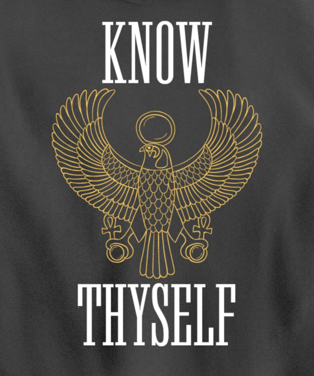 Know Thyself Ancient Egyptian God Horus Kemetic Ankh Gift Pullover Hoodie
