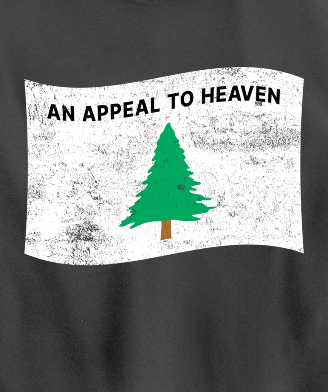 Pine Tree Flag An Appeal to Heaven God American USA Pullover Hoodie