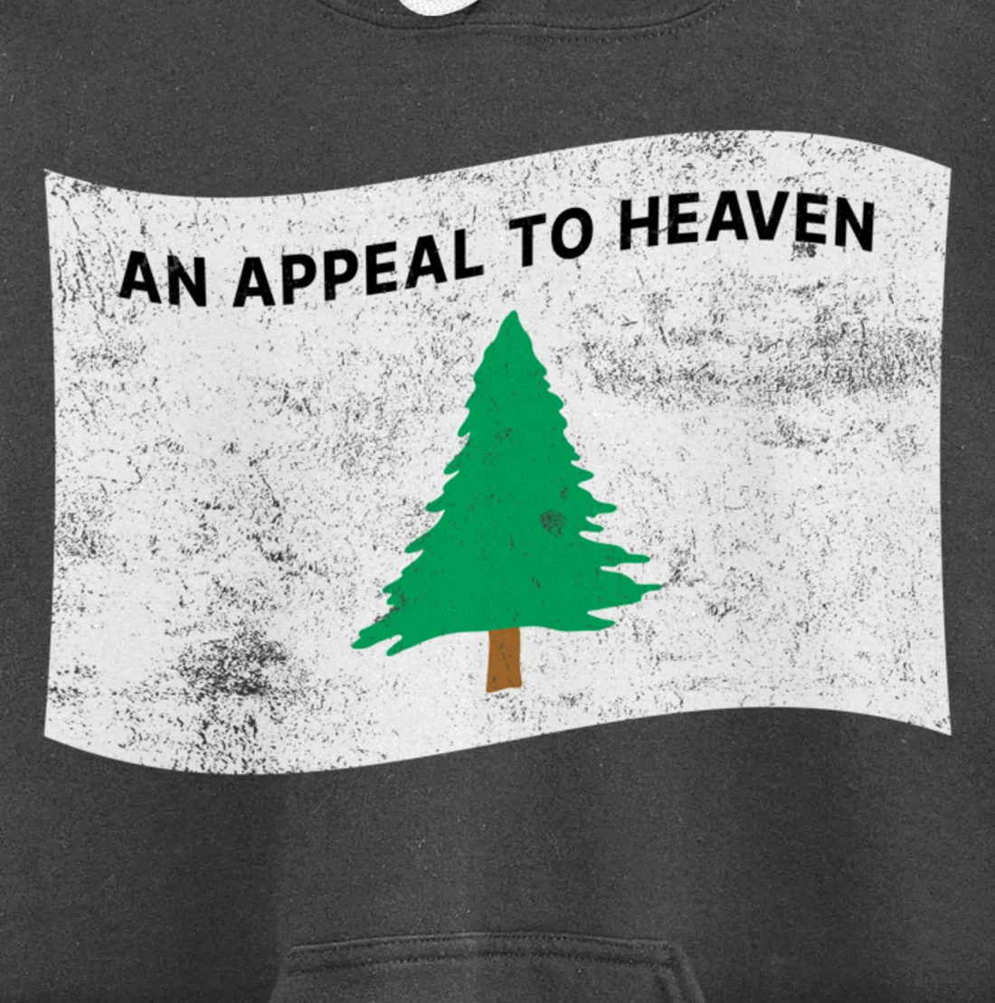 Pine Tree Flag An Appeal to Heaven God American USA Pullover Hoodie