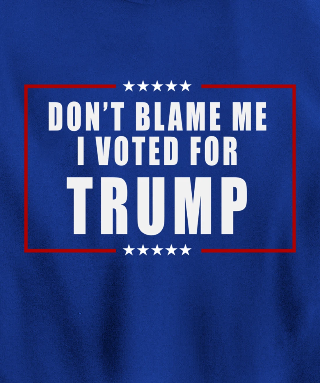 Don't Blame Me, I Voted For Trump Patriotic Pullover Hoodie