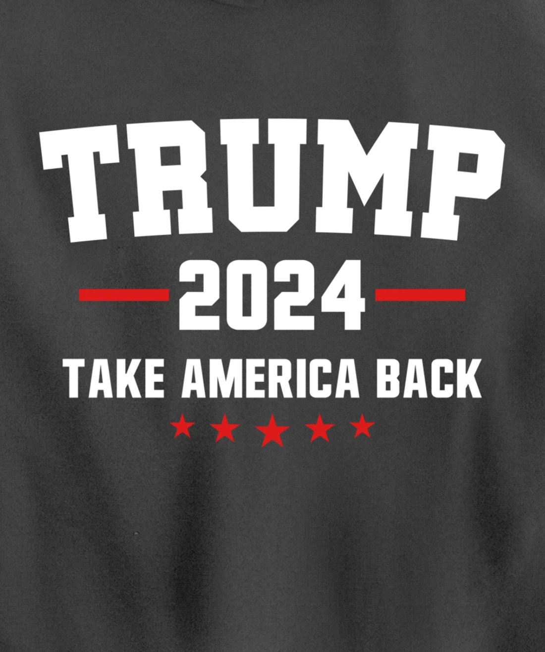 Trump 2024 Take America Back Election - Politics The Return Pullover Hoodie
