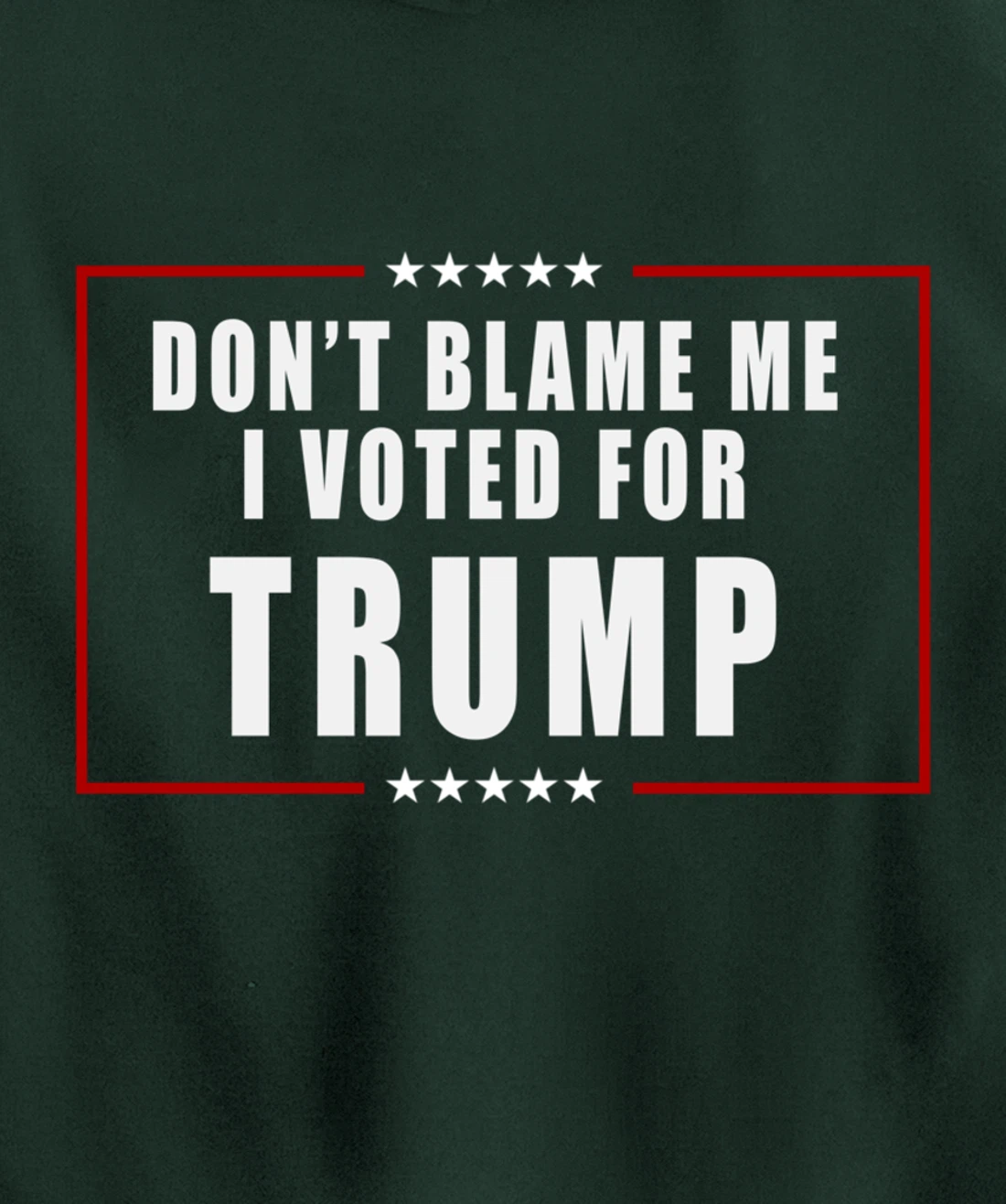 Don't Blame Me, I Voted For Trump Patriotic Pullover Hoodie