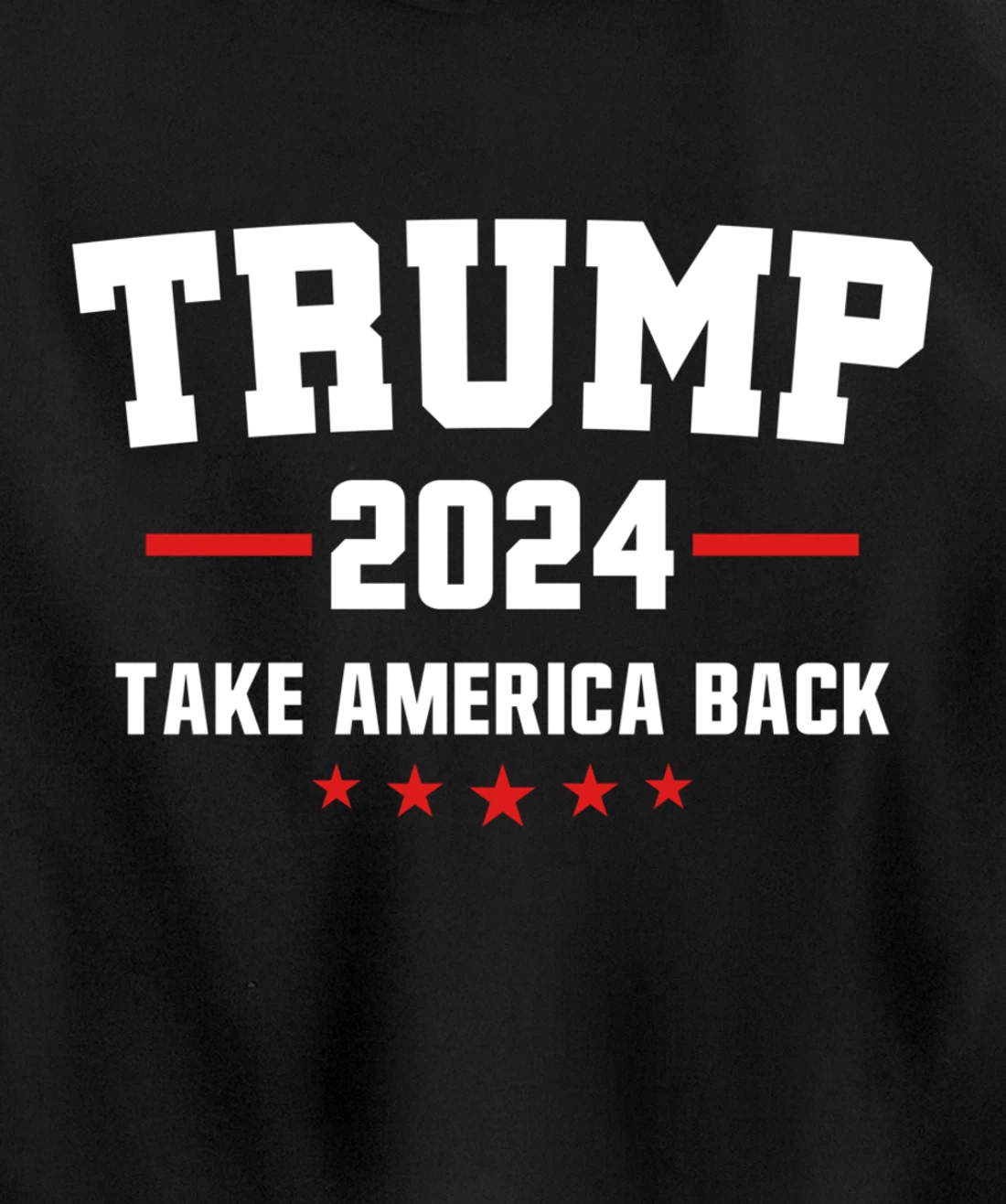 Trump 2024 Take America Back Election - Politics The Return Pullover Hoodie
