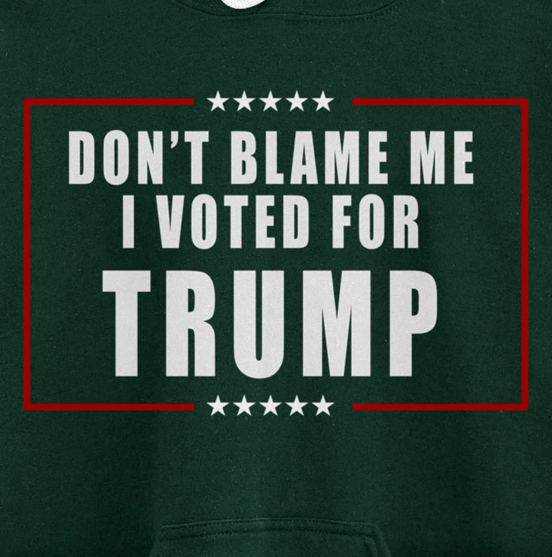 Don't Blame Me, I Voted For Trump Patriotic Pullover Hoodie
