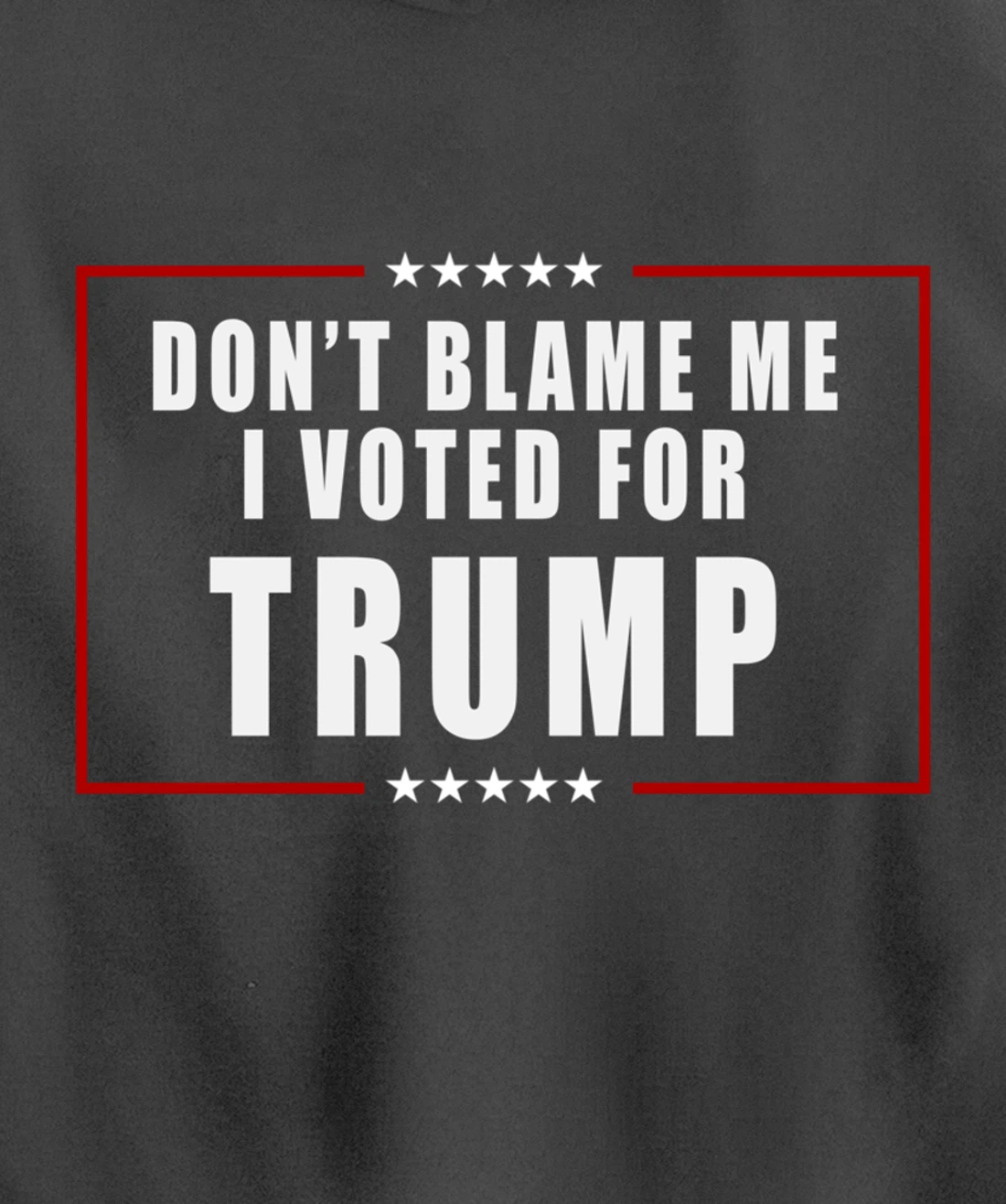 Don't Blame Me, I Voted For Trump Patriotic Pullover Hoodie