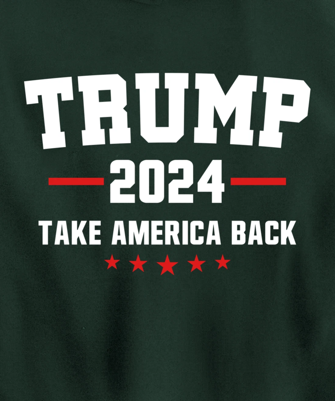 Trump 2024 Take America Back Election - Politics The Return Pullover Hoodie