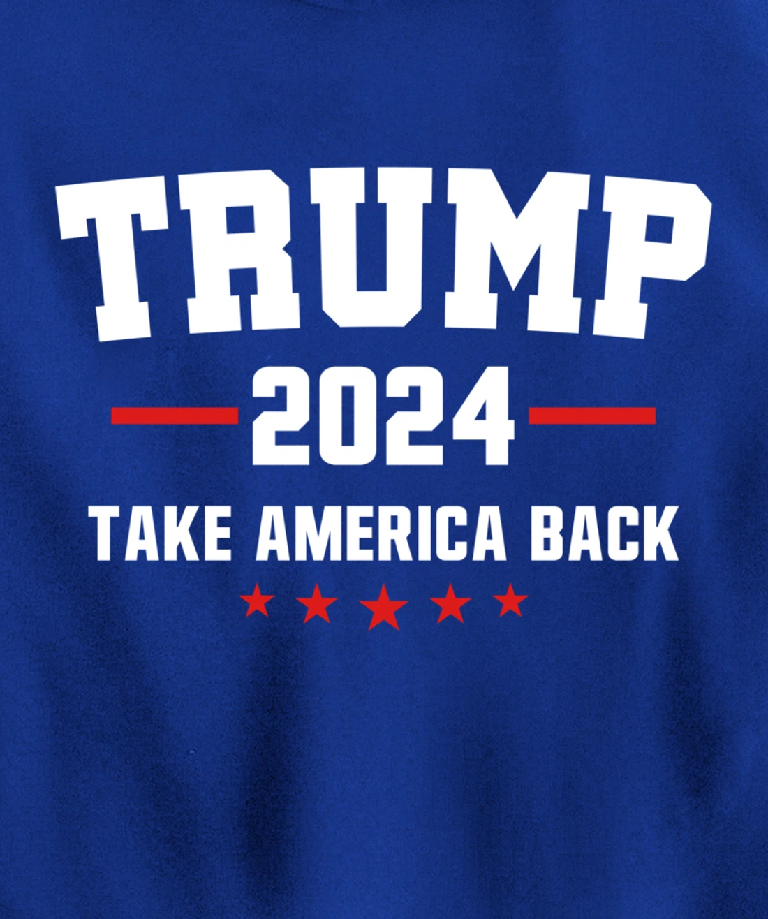 Trump 2024 Take America Back Election - Politics The Return Pullover Hoodie