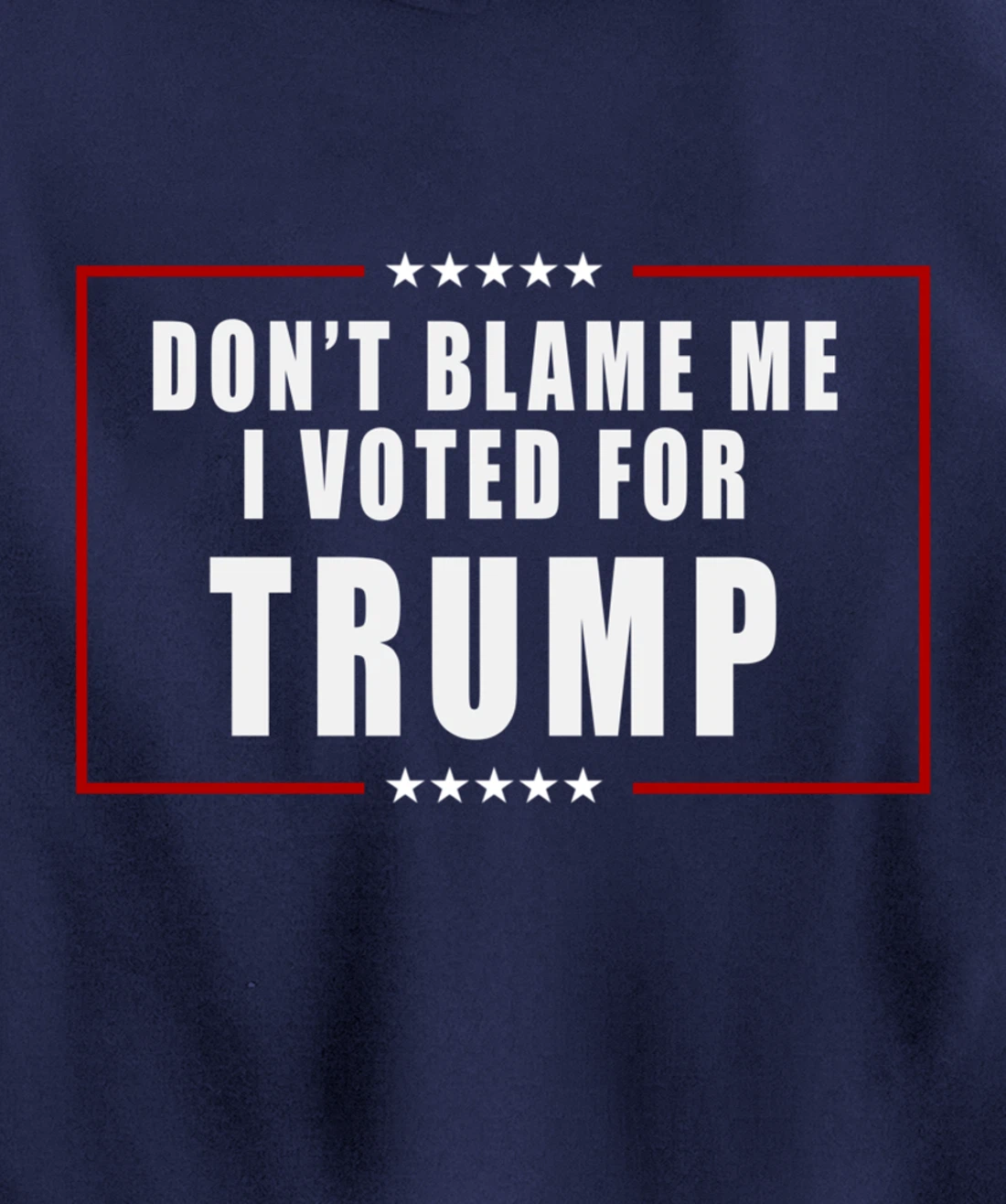 Don't Blame Me, I Voted For Trump Patriotic Pullover Hoodie