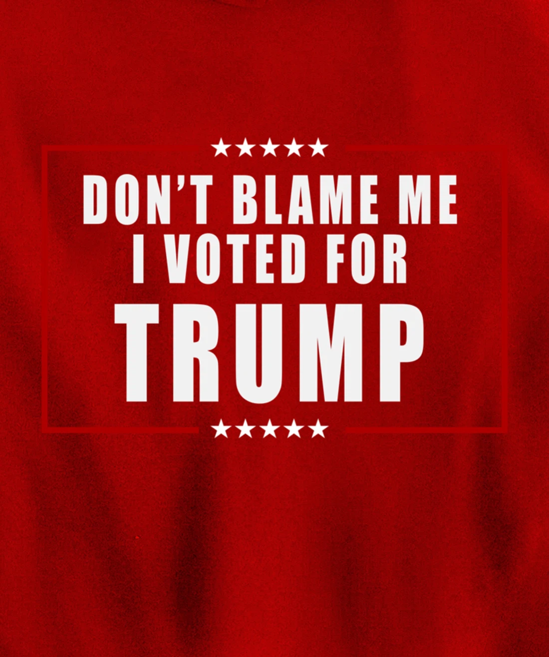 Don't Blame Me, I Voted For Trump Patriotic Pullover Hoodie