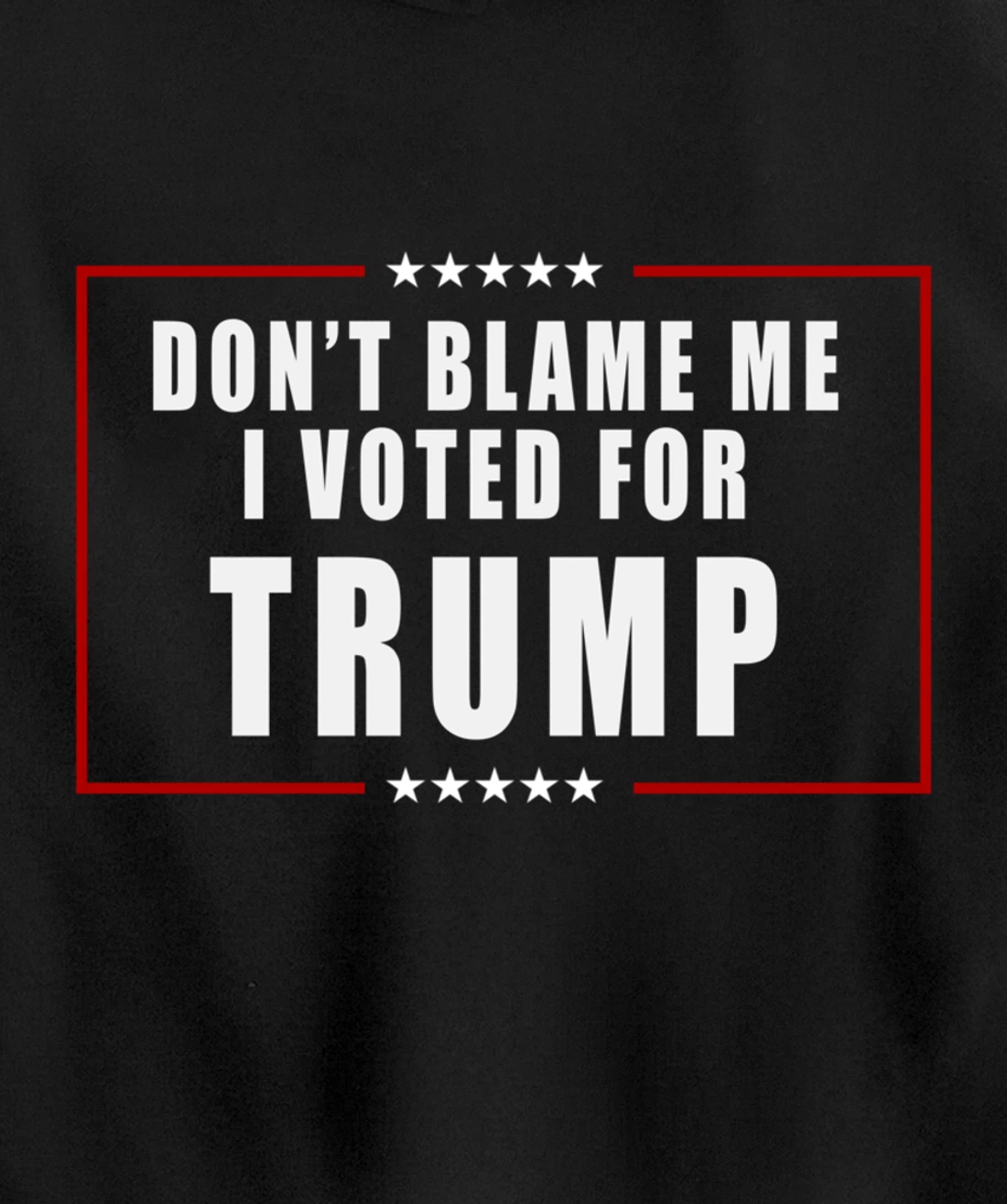Don't Blame Me, I Voted For Trump Patriotic Pullover Hoodie