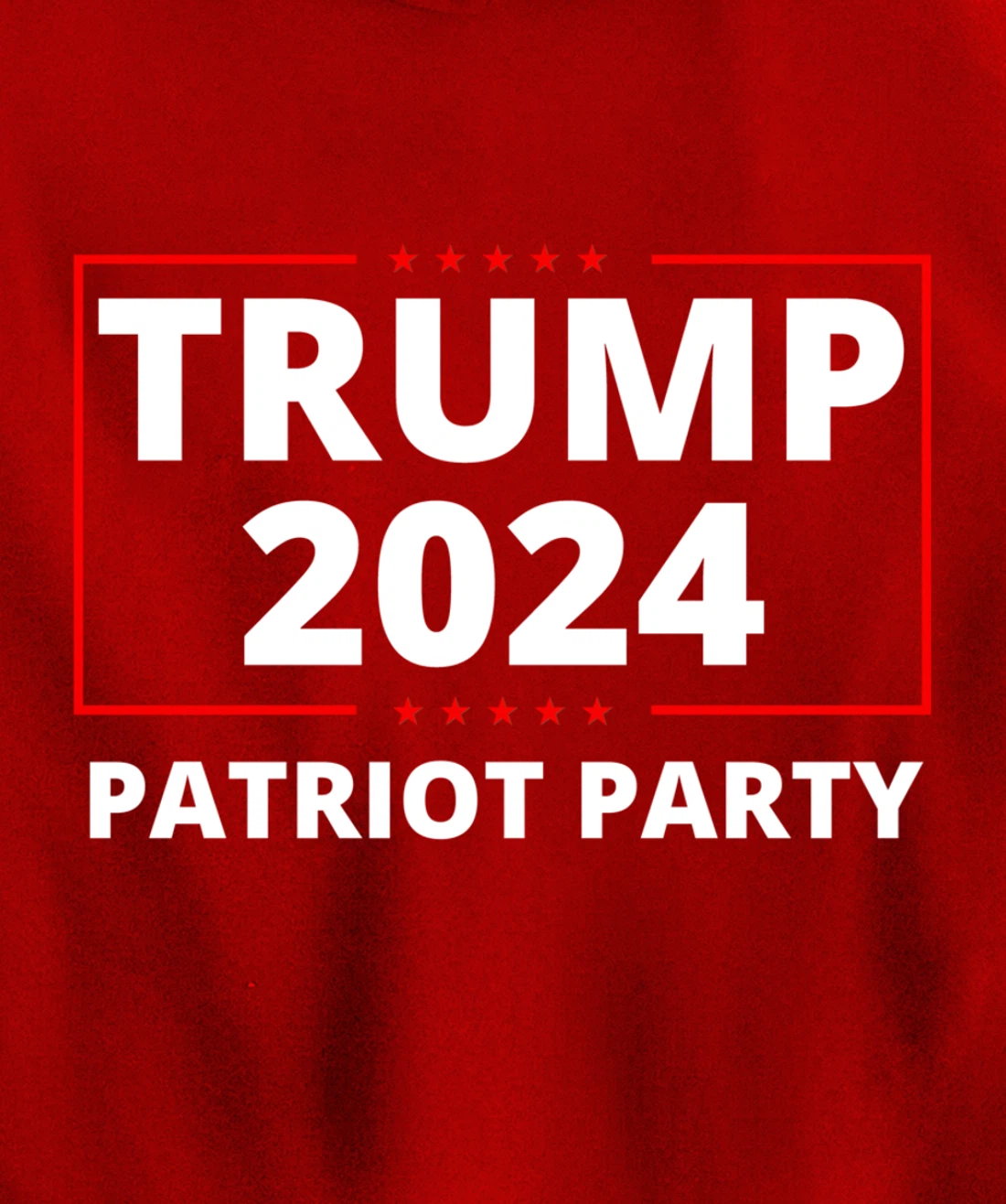 Trump 2024 Patriot Party Lion Populist Liberty Freedom Pullover Hoodie