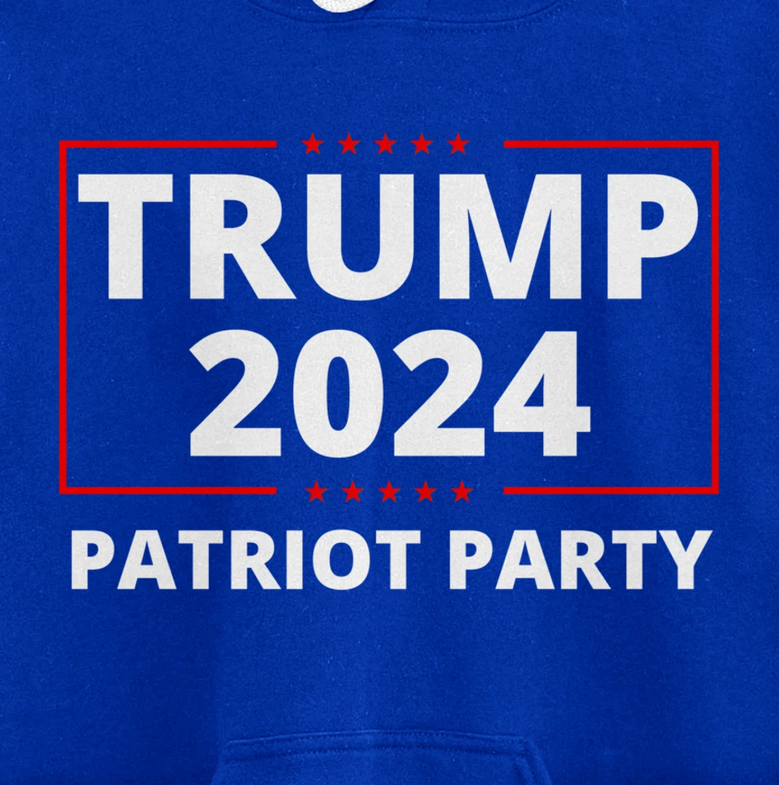 Trump 2024 Patriot Party Lion Populist Liberty Freedom Pullover Hoodie