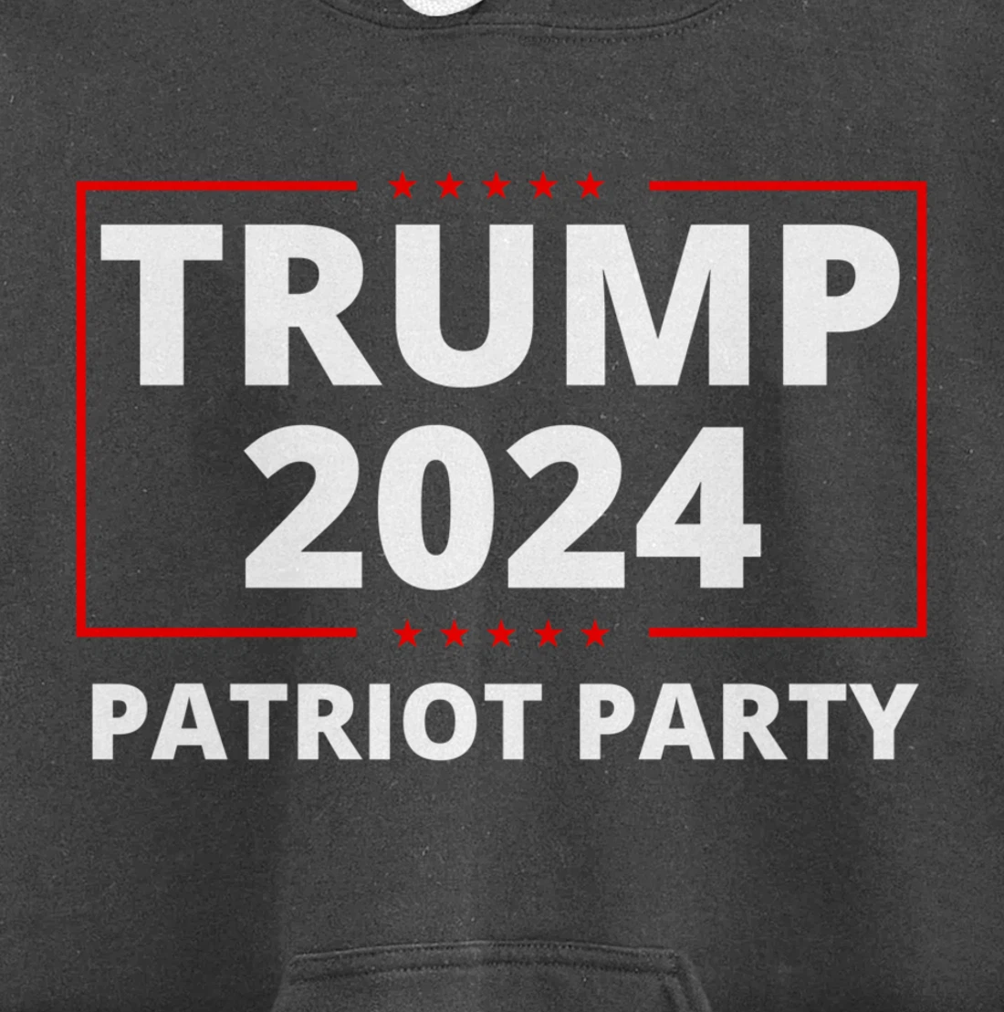 Trump 2024 Patriot Party Lion Populist Liberty Freedom Pullover Hoodie