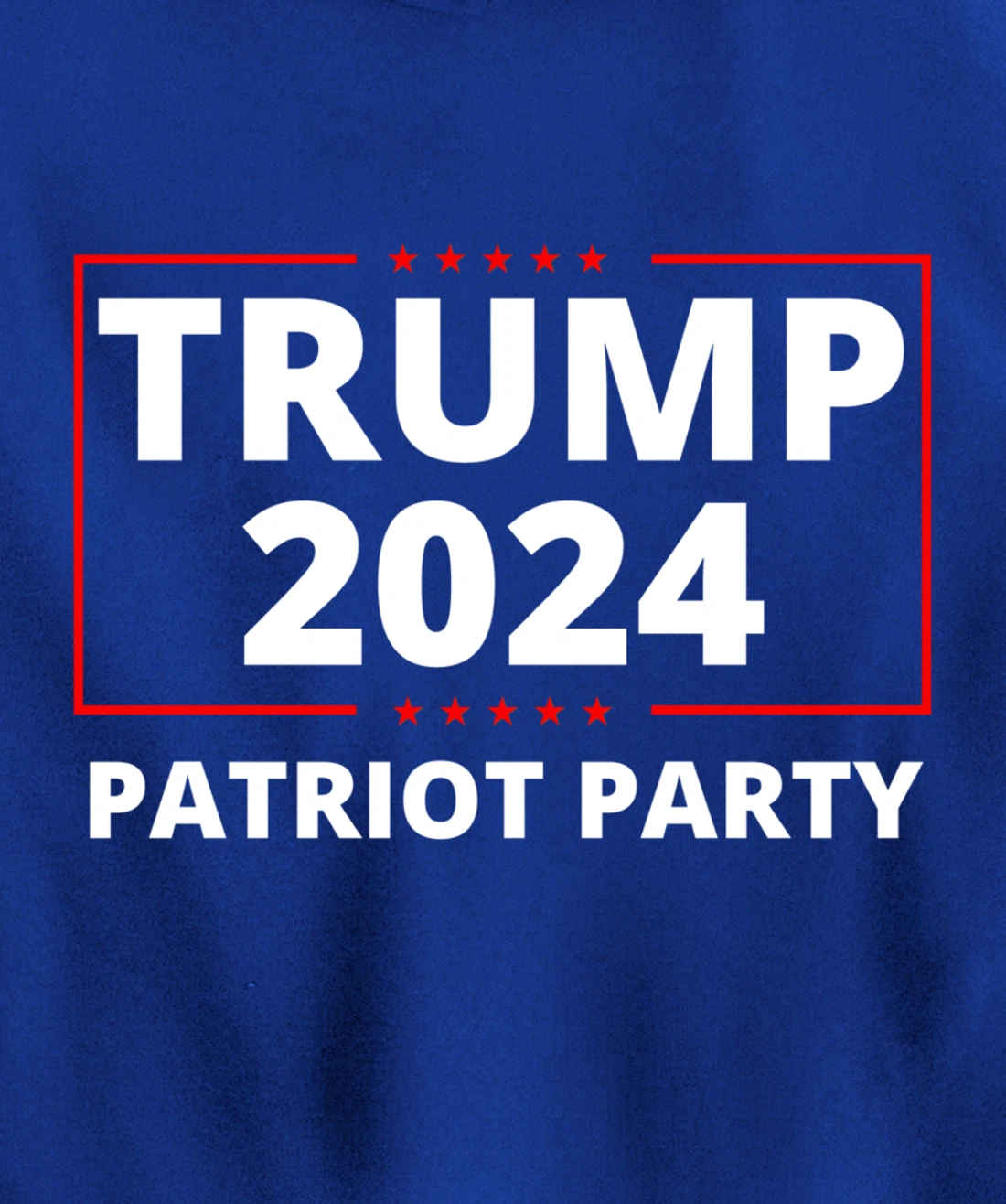 Trump 2024 Patriot Party Lion Populist Liberty Freedom Pullover Hoodie