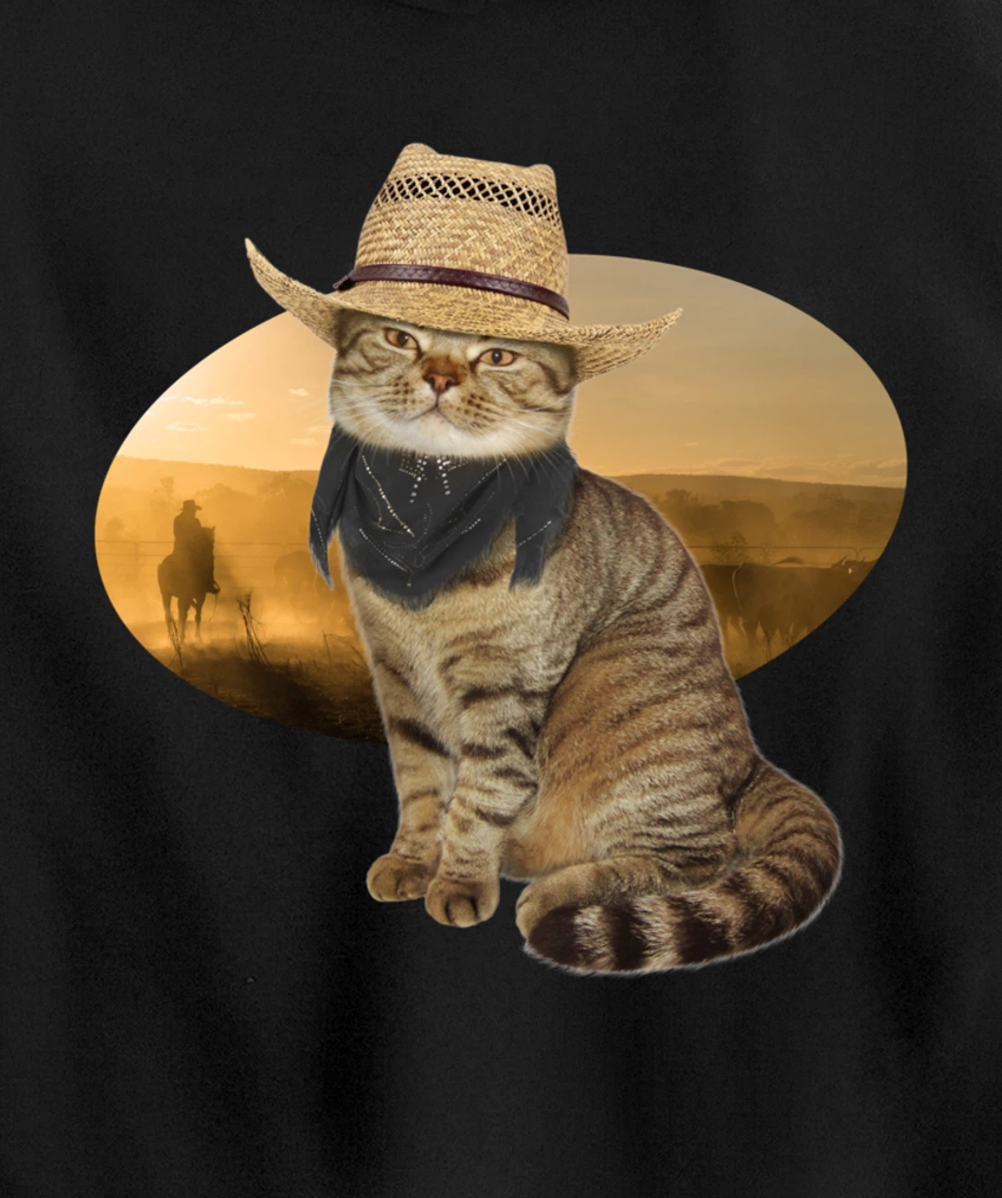 Western Mashup Funny Texas Cowboy Cat Pullover Hoodie