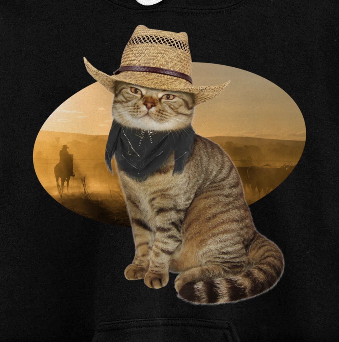 Western Mashup Funny Texas Cowboy Cat Pullover Hoodie