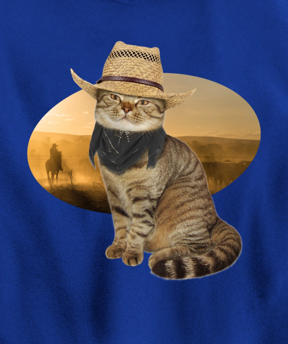 Western Mashup Funny Texas Cowboy Cat Pullover Hoodie