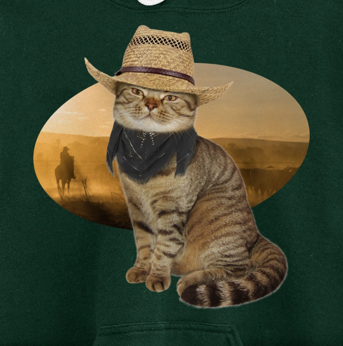 Western Mashup Funny Texas Cowboy Cat Pullover Hoodie